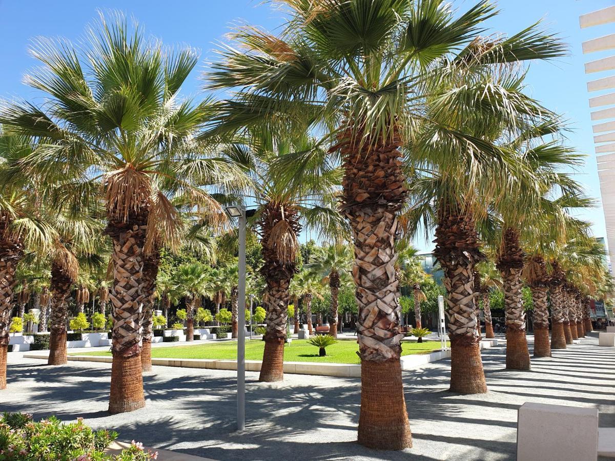 Tenerias 2 Καστεγιόν δε λα Πλάνα Εξωτερικό φωτογραφία